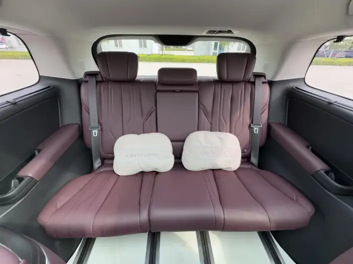 Century 2023 Model 2.0T VII seat Yunshi Edition – фото 23