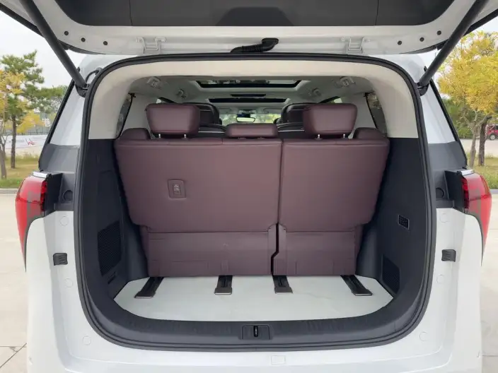 Century 2023 Model 2.0T VII seat Yunshi Edition – фото 25