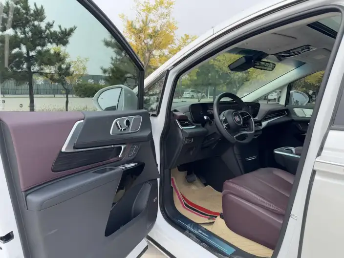 Century 2023 Model 2.0T VII seat Yunshi Edition – фото 30
