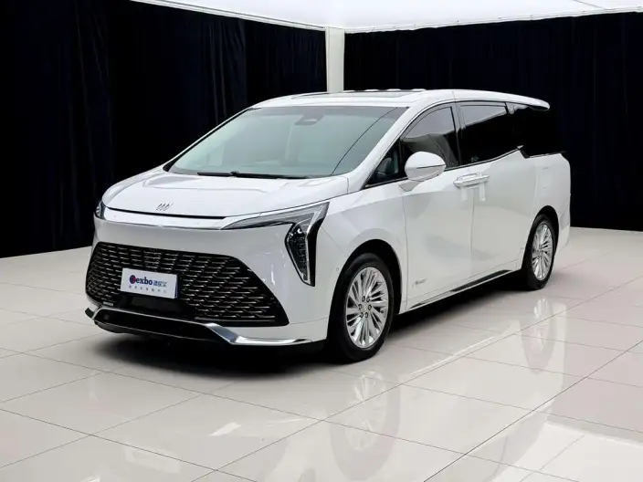 Century 2023 Model 2.0T VI seat Yunshi Edition – фото 1