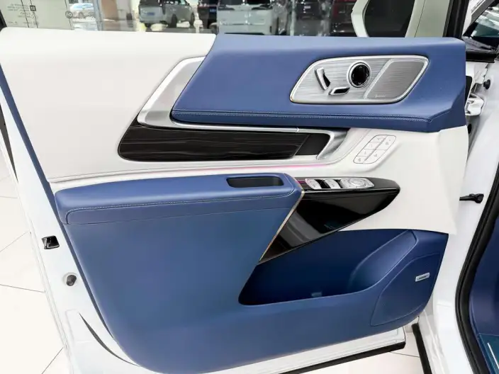 Century 2023 Model 2.0T VI seat Yunshi Edition – фото 7