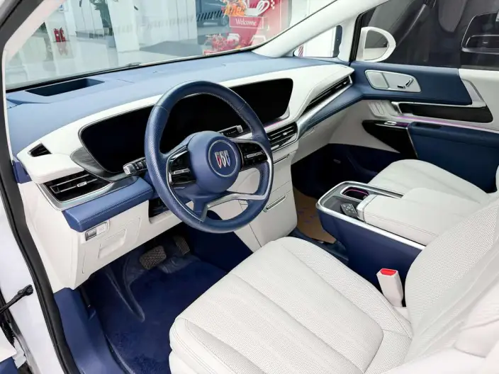 Century 2023 Model 2.0T VI seat Yunshi Edition – фото 10
