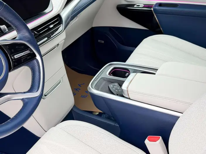 Century 2023 Model 2.0T VI seat Yunshi Edition – фото 13