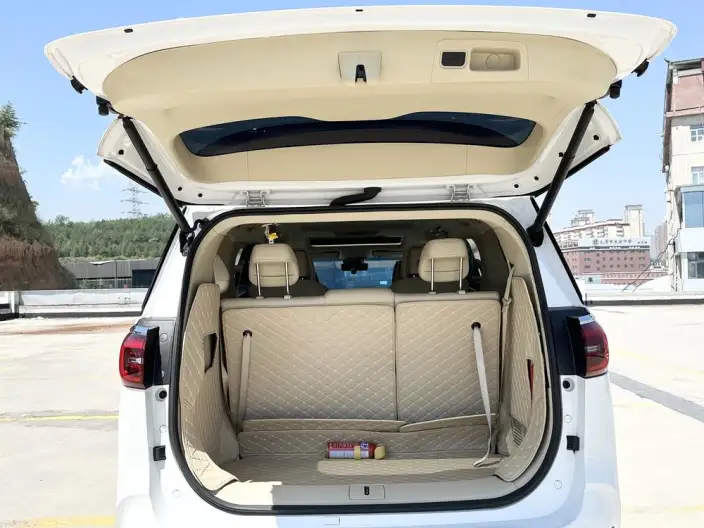 Buick GL8 2023 Model ES Luzun 2.0T Exclusive Model – фото 18
