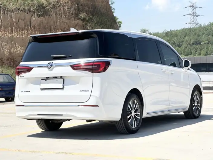 Buick GL8 2023 Model ES Luzun 2.0T Exclusive Model – фото 6