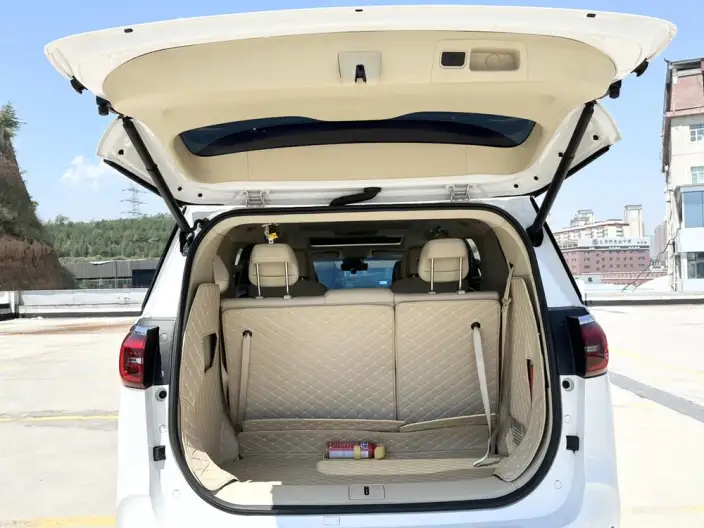 Buick GL8 2023 Model ES Luzun 2.0T Exclusive Model – фото 18