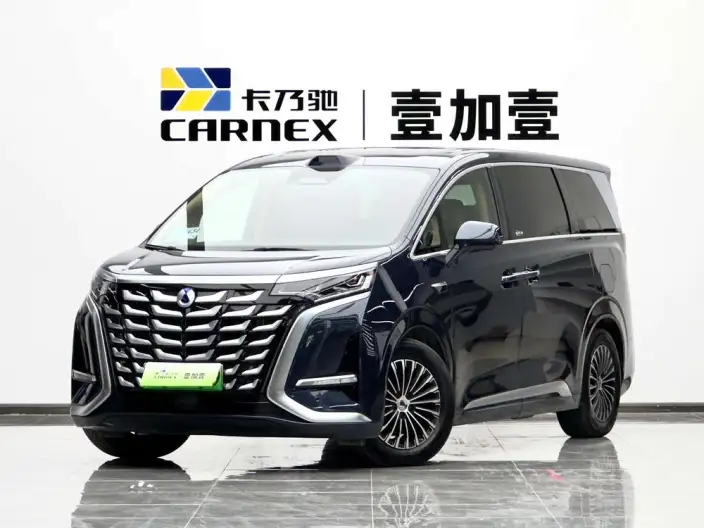 DENZA D9 DM 2025 Model Smart Driving Edition 1020 4WD Flagship Model – фото 1