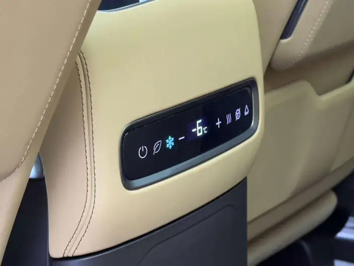 DENZA D9 DM 2025 Model Smart Driving Edition 1020 4WD Flagship Model – фото 10