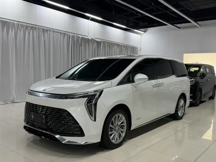 Century 2023 Model 2.0T VI seat Yunshi Edition – фото 1