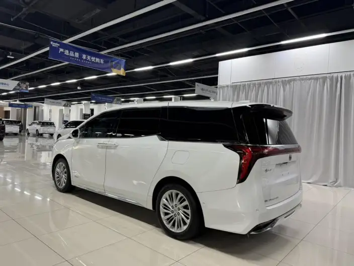 Century 2023 Model 2.0T VI seat Yunshi Edition – фото 3