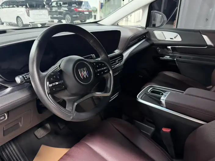 Century 2023 Model 2.0T VI seat Yunshi Edition – фото 8