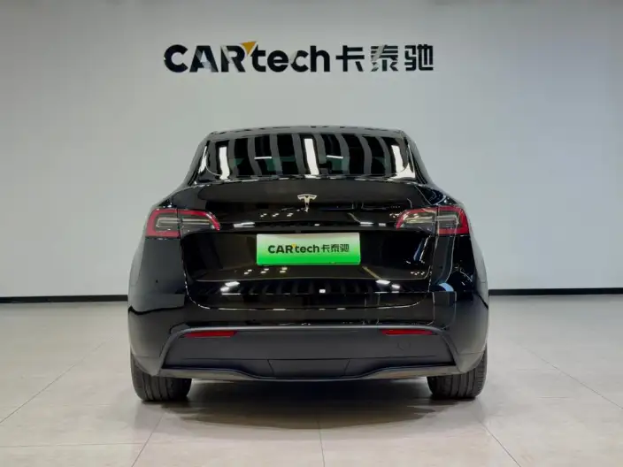 Model Y 2023 Model Long Battery Life Pro All-wheel drive version – фото 6