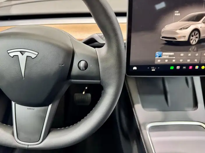 Model Y 2023 Model Long Battery Life Pro All-wheel drive version – фото 12