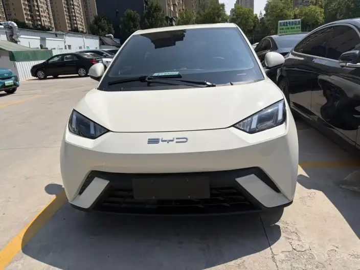 BYD Seagull 2023 Model Feixiang Edition – фото 2