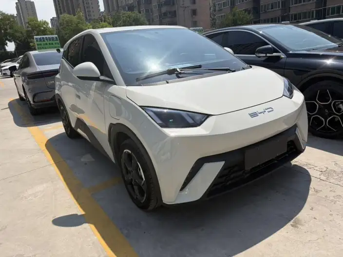 BYD Seagull 2023 Model Feixiang Edition – фото 3