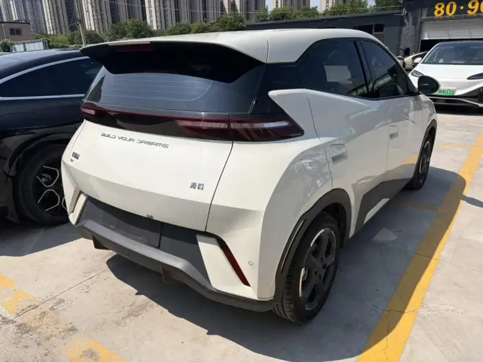 BYD Seagull 2023 Model Feixiang Edition – фото 6