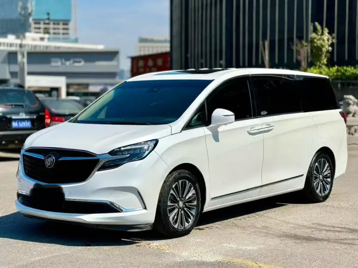 Buick GL8 2021 Model ES Luzun 653T Flagship Model – фото 1