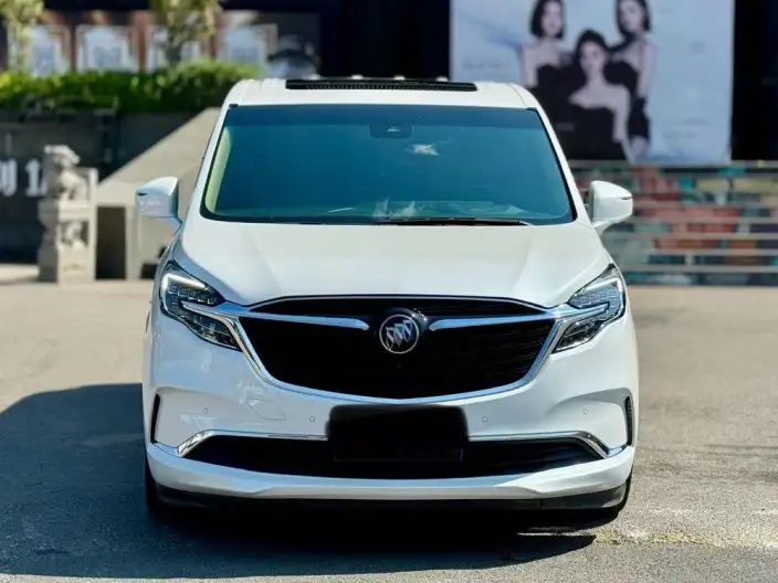 Buick GL8 2021 Model ES Luzun 653T Flagship Model – фото 2
