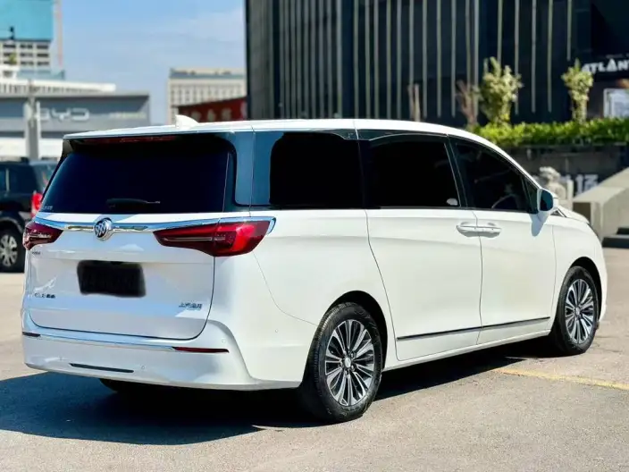 Buick GL8 2021 Model ES Luzun 653T Flagship Model – фото 4