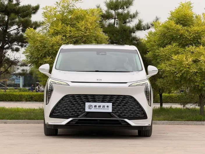Century 2023 Model 2.0T VI seat Yunshi Edition – фото 2