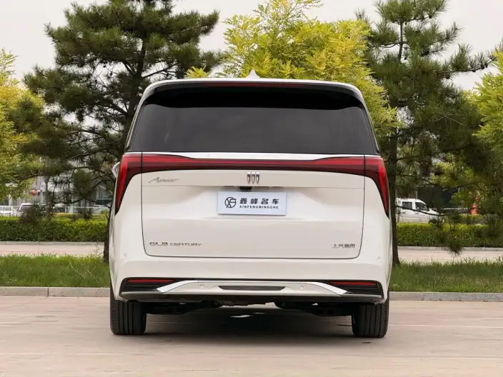 Century 2023 Model 2.0T VI seat Yunshi Edition – фото 5