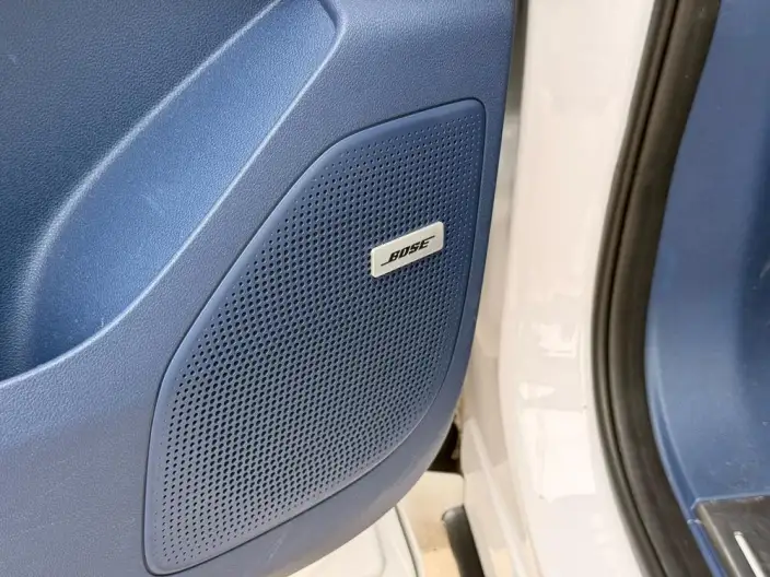 Century 2023 Model 2.0T VI seat Yunshi Edition – фото 12