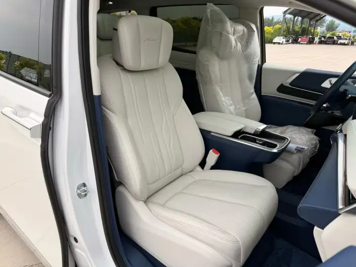 Century 2023 Model 2.0T VI seat Yunshi Edition – фото 26