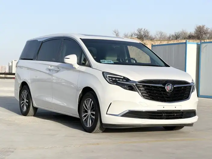 Buick GL8 2022 Model ES Luzun 653T Comfort Model – фото 3