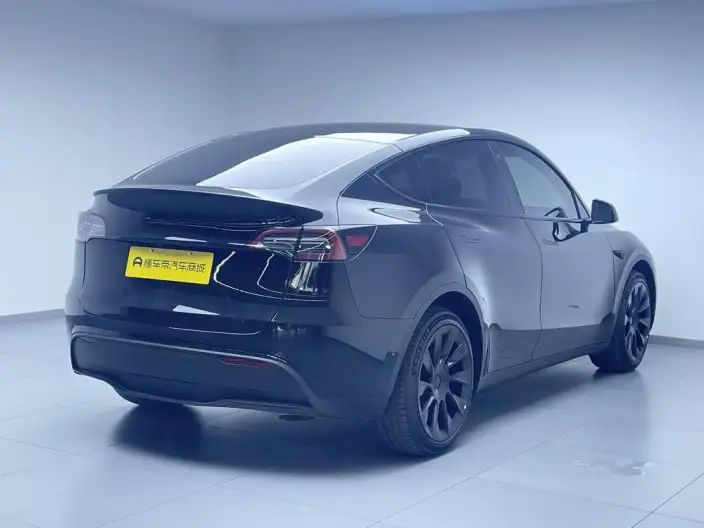 Model Y 2022 Model Facelift Long Battery Life Pro All-wheel drive version – фото 7