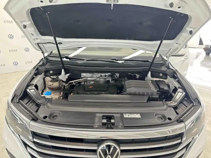 Viloran 2024 Model 330TSI Deluxe Edition – фото 3