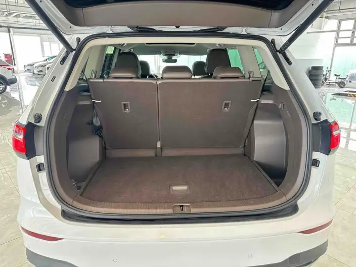 Viloran 2024 Model 330TSI Deluxe Edition – фото 10