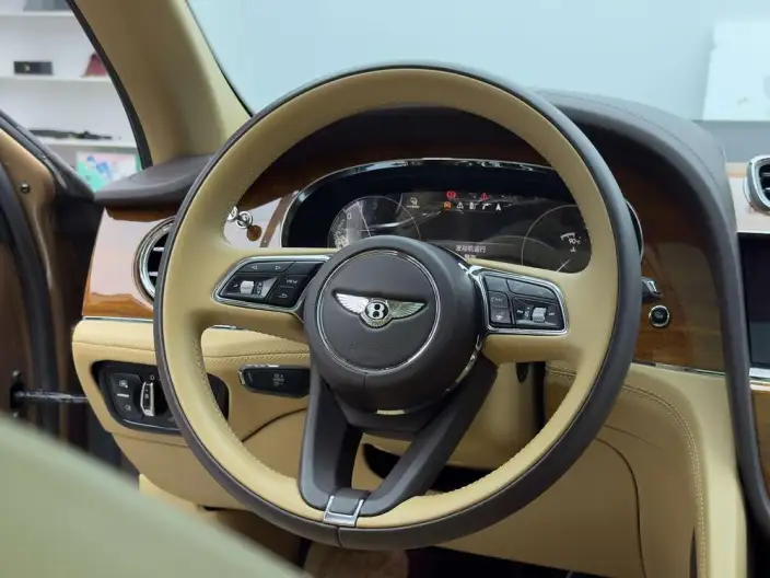 Bentayga PHEV 2021 Model 3.0T PHEV – фото 15