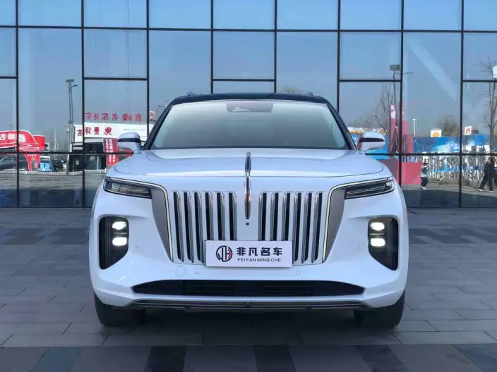 HONGQI E-HS9 2022 Model 660km Flag Enjoy Edition VI seat – фото 2