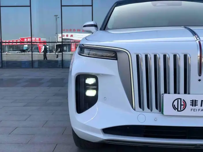 HONGQI E-HS9 2022 Model 660km Flag Enjoy Edition VI seat – фото 8