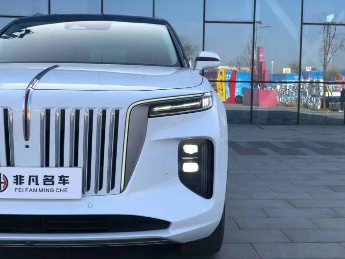 HONGQI E-HS9 2022 Model 660km Flag Enjoy Edition VI seat – фото 10