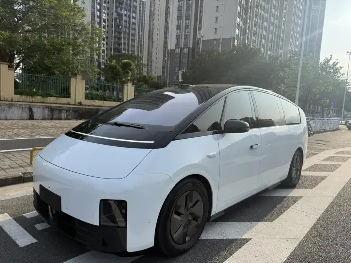 Li Auto MEGA 2025 Model Home Family Special Edition – фото 1