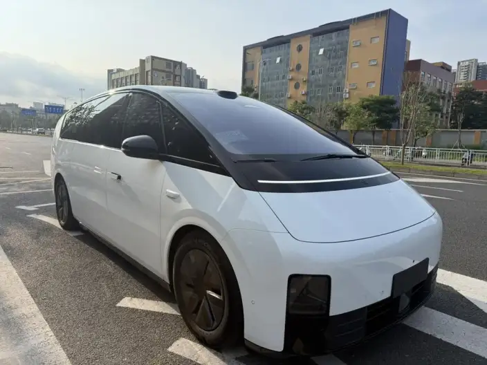 Li Auto MEGA 2025 Model Home Family Special Edition – фото 2