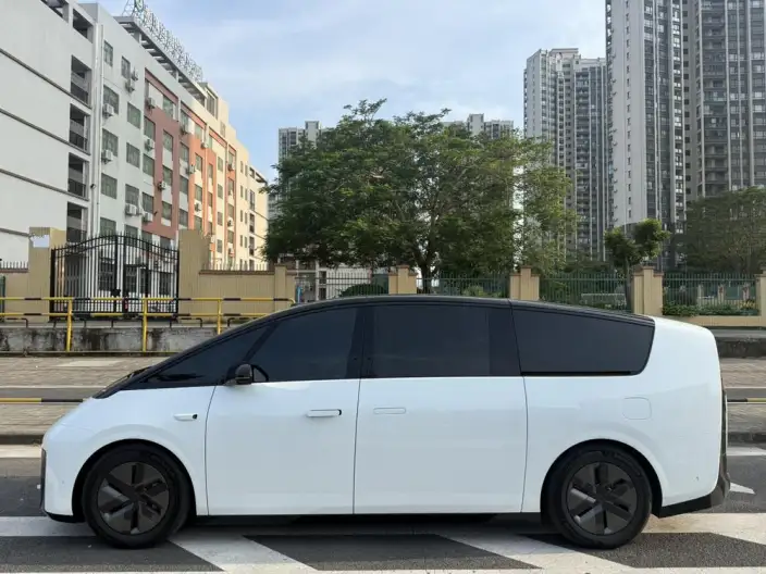 Li Auto MEGA 2025 Model Home Family Special Edition – фото 3