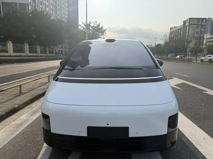 Li Auto MEGA 2025 Model Home Family Special Edition – фото 11