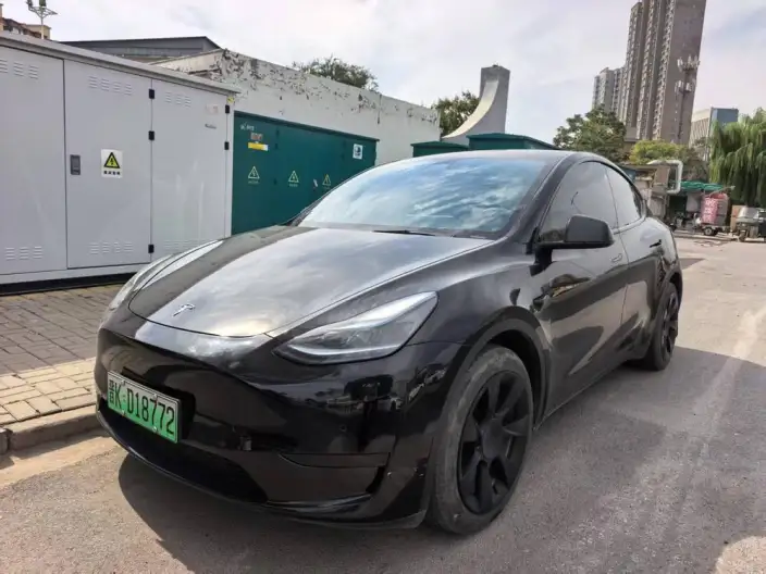 Model Y 2023 Model Rear-wheel drive version – фото 1