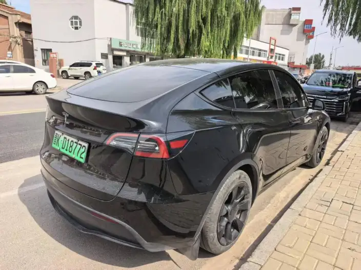Model Y 2023 Model Rear-wheel drive version – фото 4