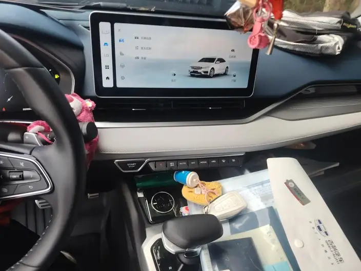 Geely StarRui 2023 Model 2.0T Noble Model – фото 8