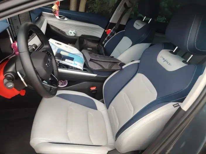 Geely StarRui 2023 Model 2.0T Noble Model – фото 10