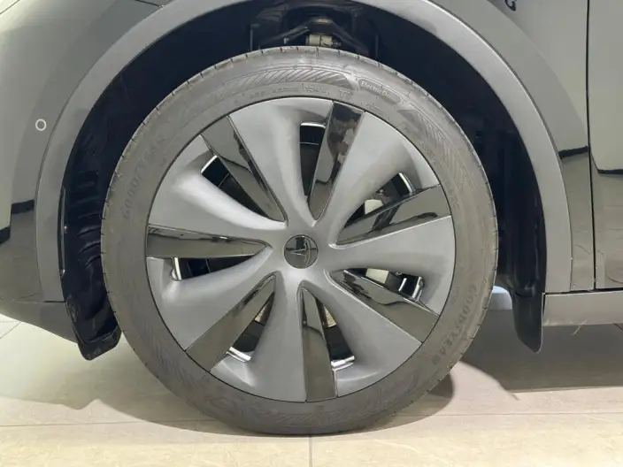 Model Y 2023 Model Rear-wheel drive version – фото 11