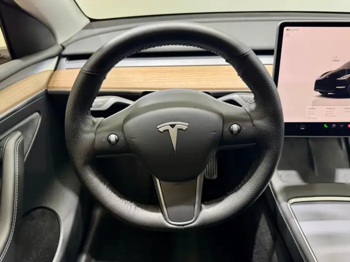 Model Y 2023 Model Rear-wheel drive version – фото 17