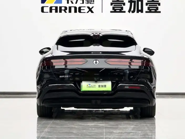 DENZA Z9GT DM 2024 Model 1100 4WD Max Edition – фото 3