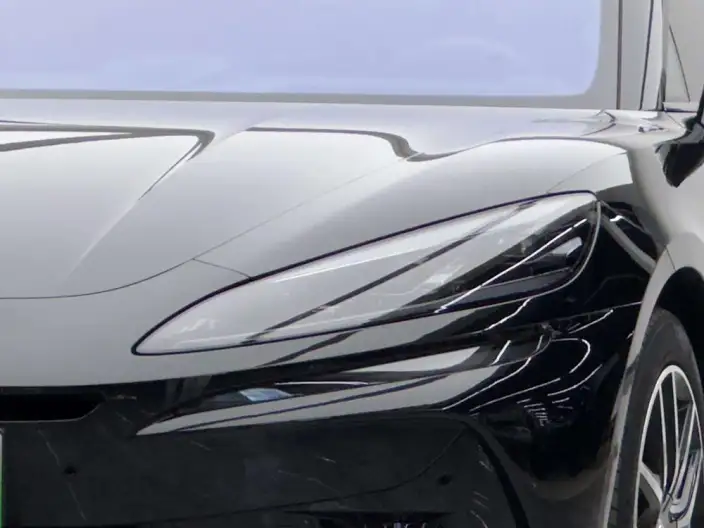 DENZA Z9GT DM 2024 Model 1100 4WD Max Edition – фото 5