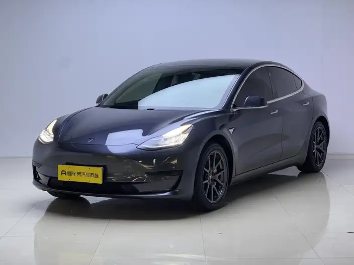 Model 3 2020 Model Standard Battery Life Rear Drive L Class Edition – фото 1