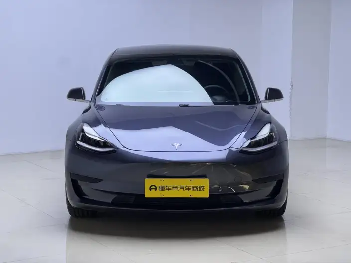 Model 3 2020 Model Standard Battery Life Rear Drive L Class Edition – фото 2