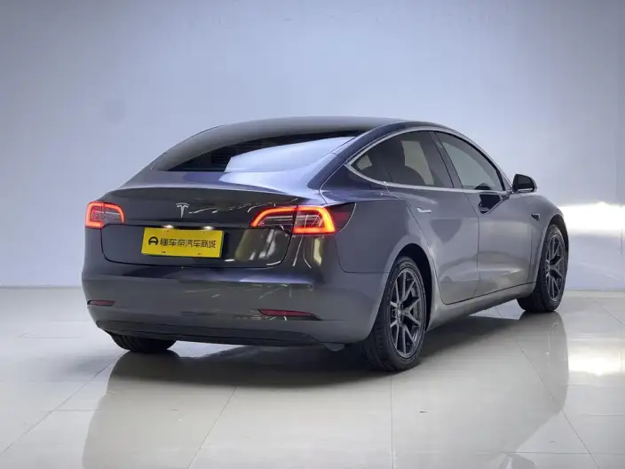 Model 3 2020 Model Standard Battery Life Rear Drive L Class Edition – фото 7